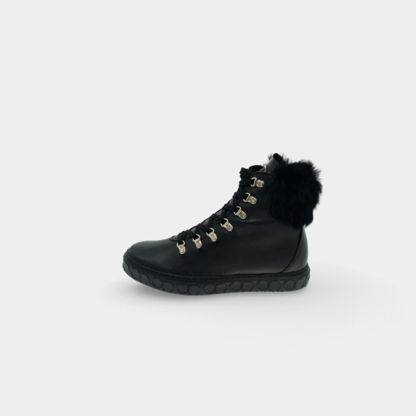 botki-casadei-czarne-bok-15251-1 Botki Casadei Czarne